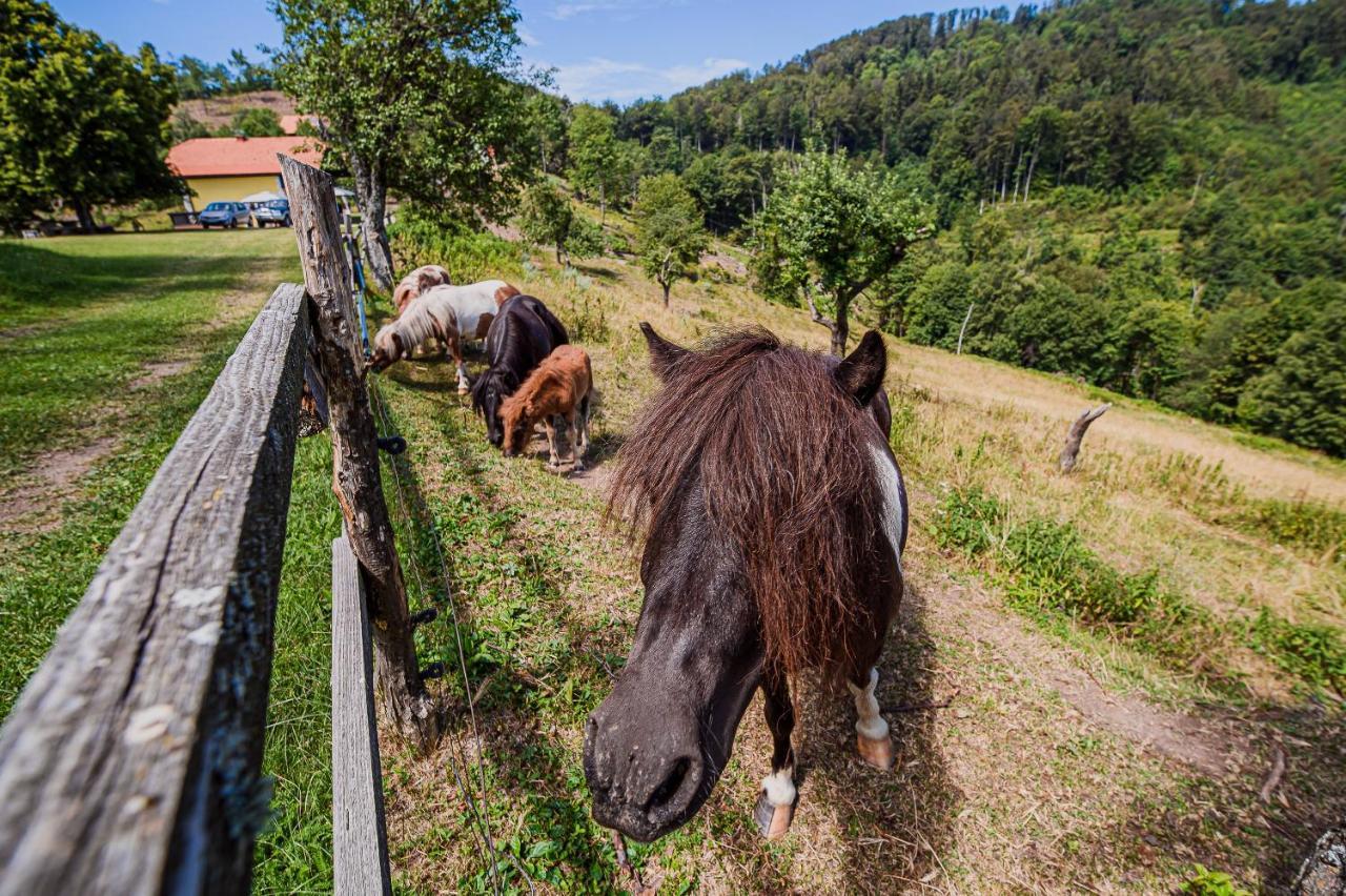 Eko Pony Ranch Ogrizek Apartment Podcetrtek Ngoại thất bức ảnh